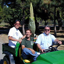 three men posing with bud in cart