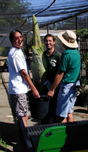 Three men removing large pot from cart