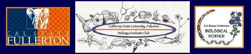 BGSC Banner Logo
