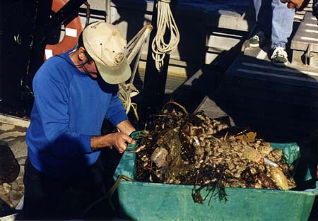 [otter_trawl]></a>
</center>

    <DL><p>
Biology 317 Spring 1998
  </DL><p>
<hr>
<a href=