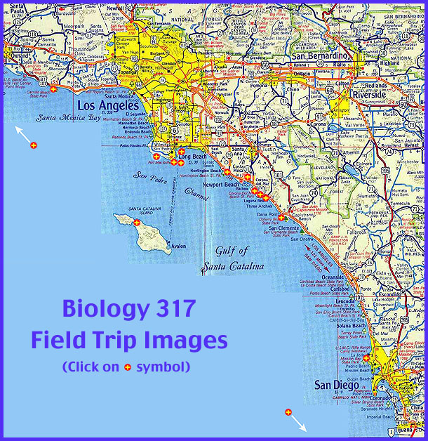 bio317_fieldtrips_map.jpg