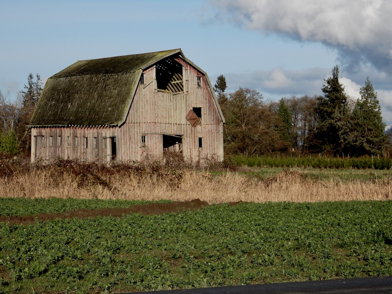 fieldtripImage