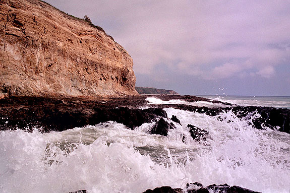 Abalone Cove Image