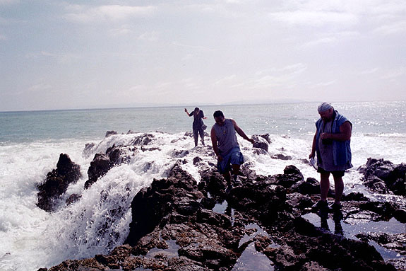 Abalone Cove Image