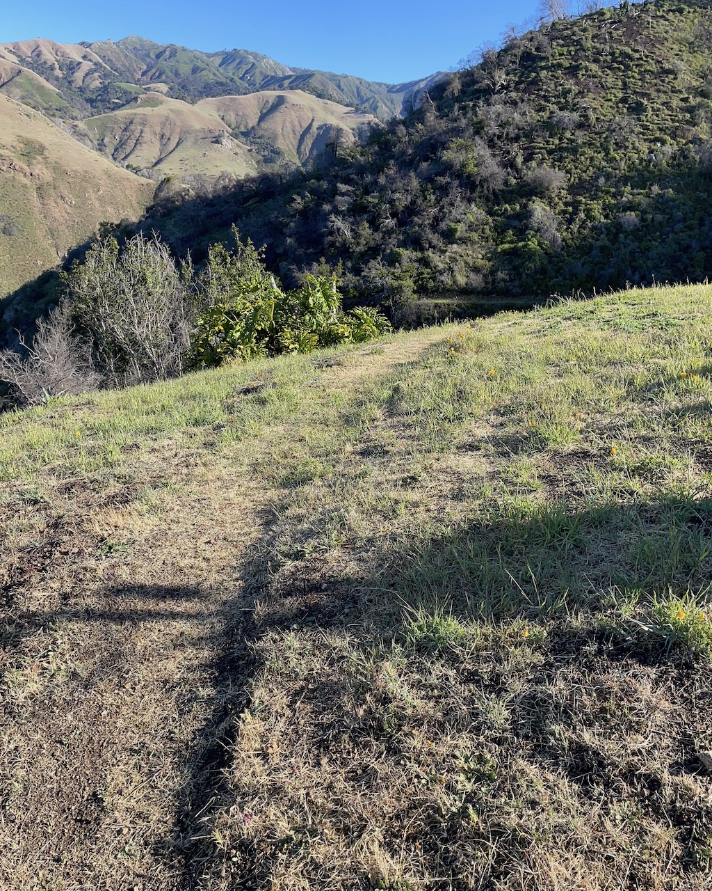 fieldtripImage