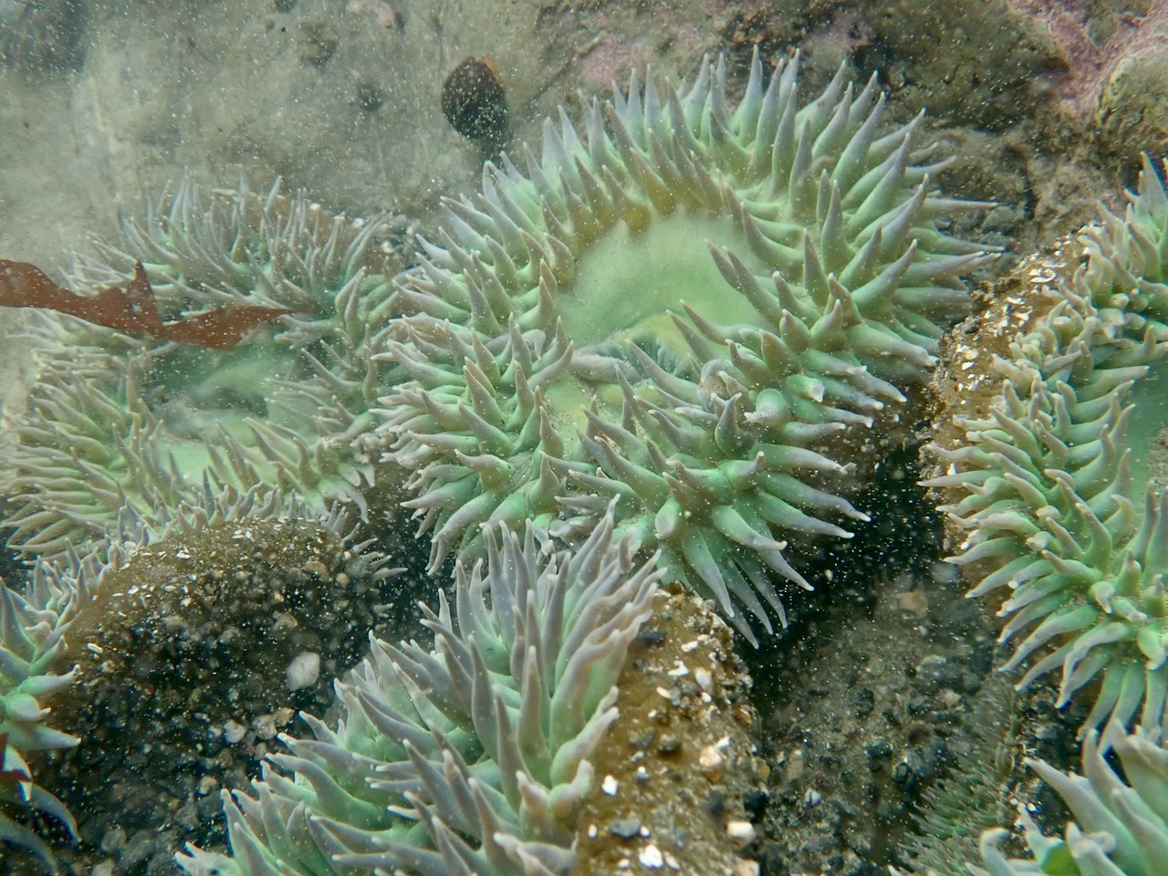 fieldtripImage