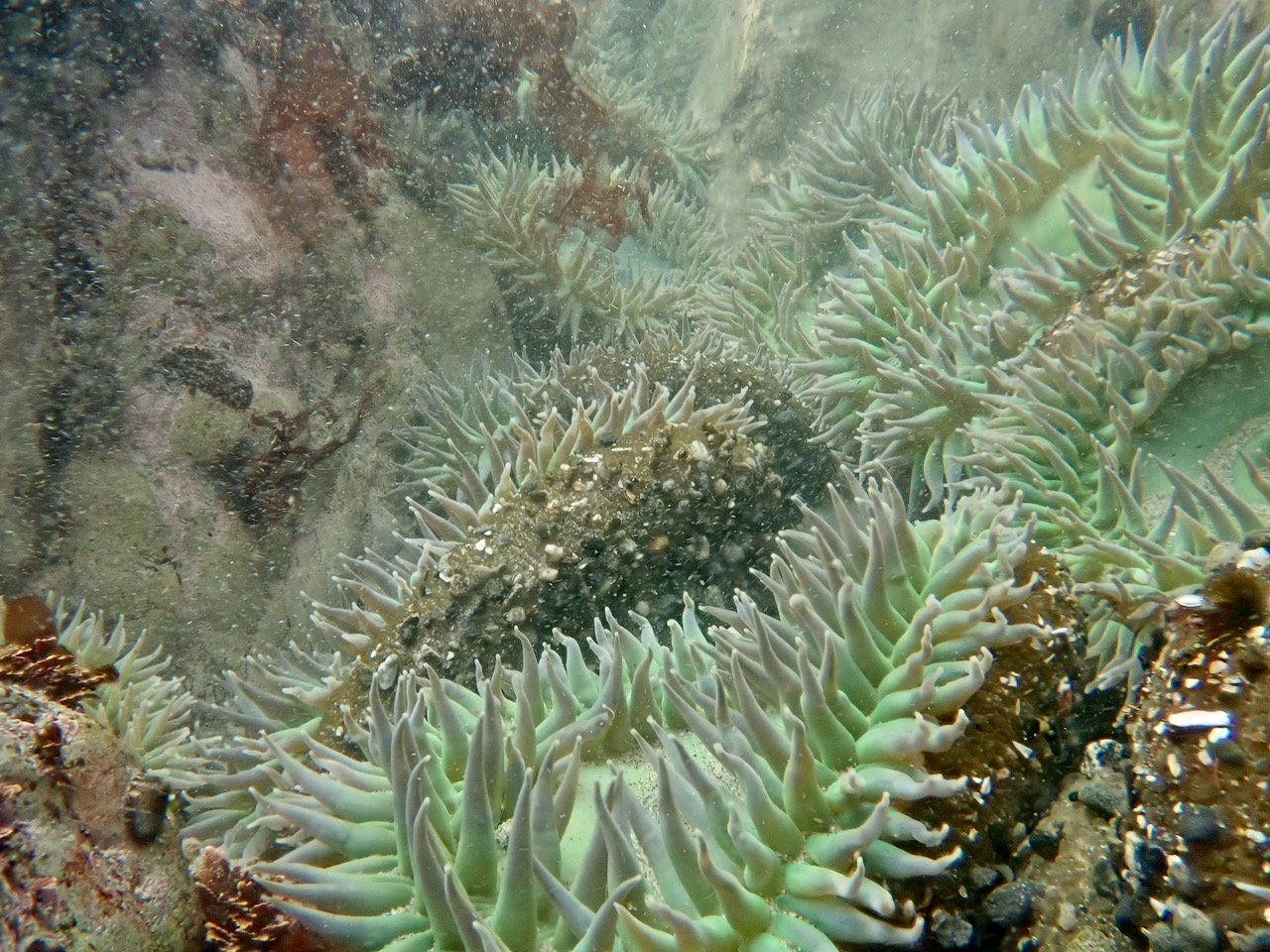 fieldtripImage