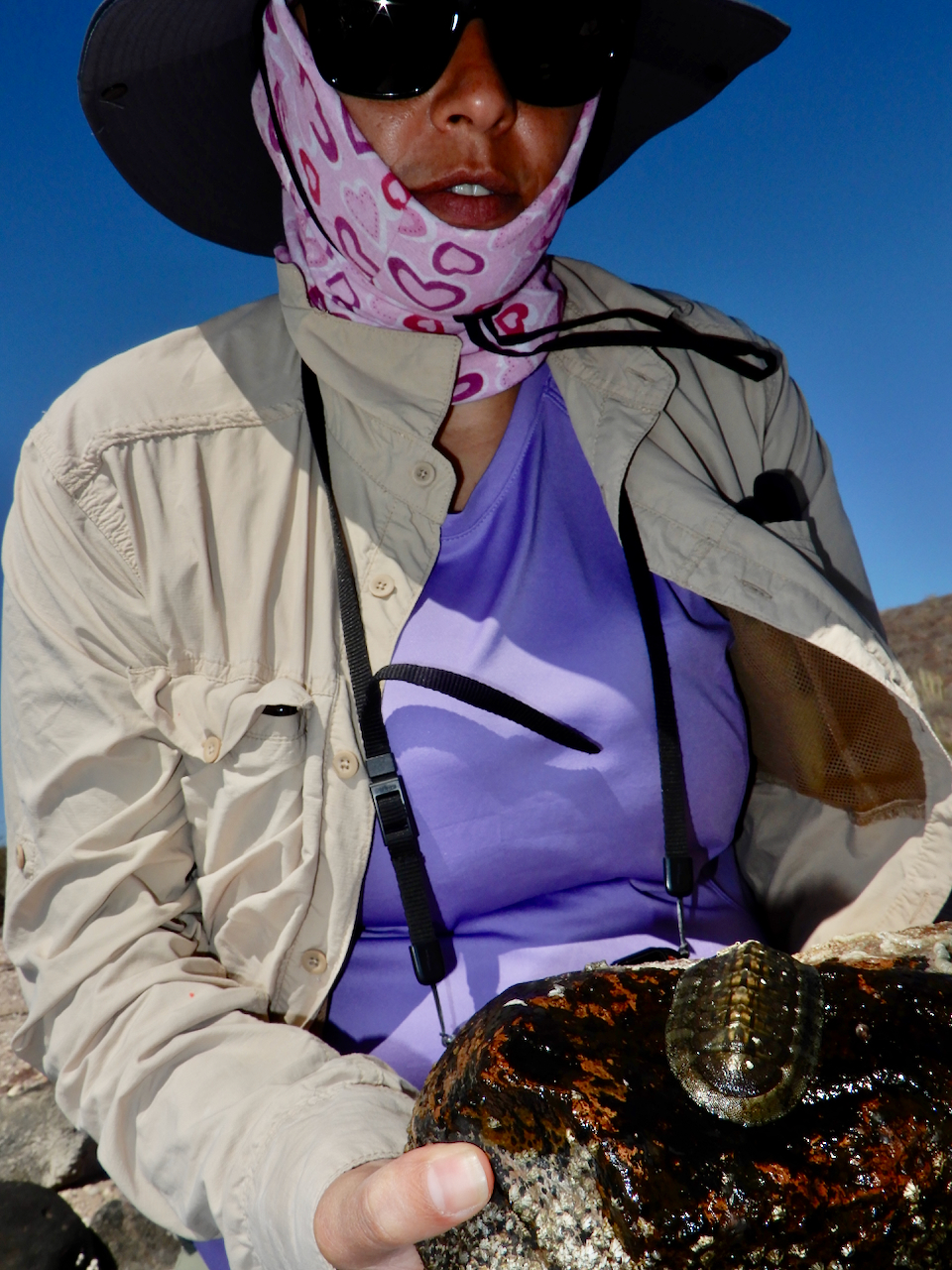 fieldtripImage