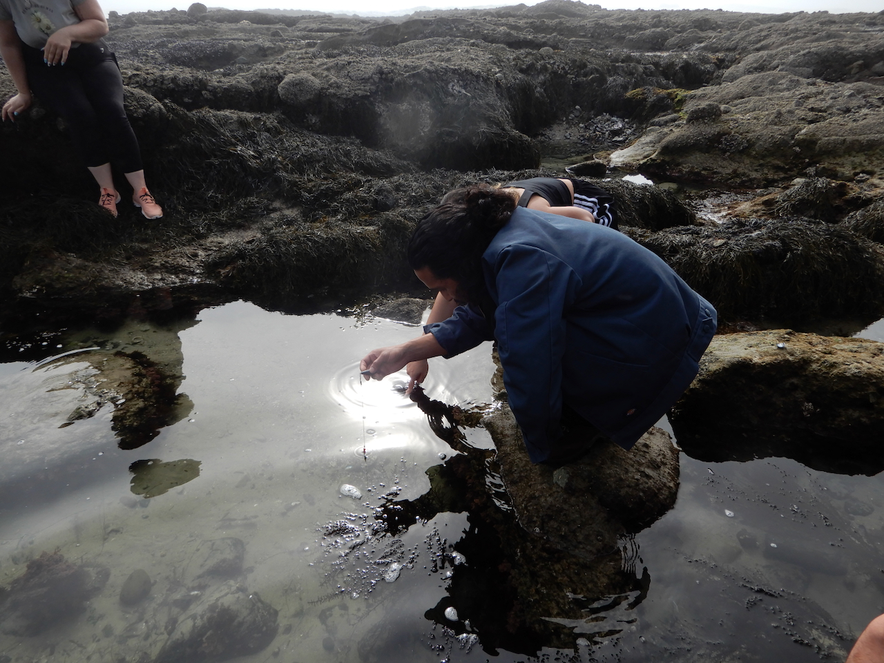 fieldtripImage
