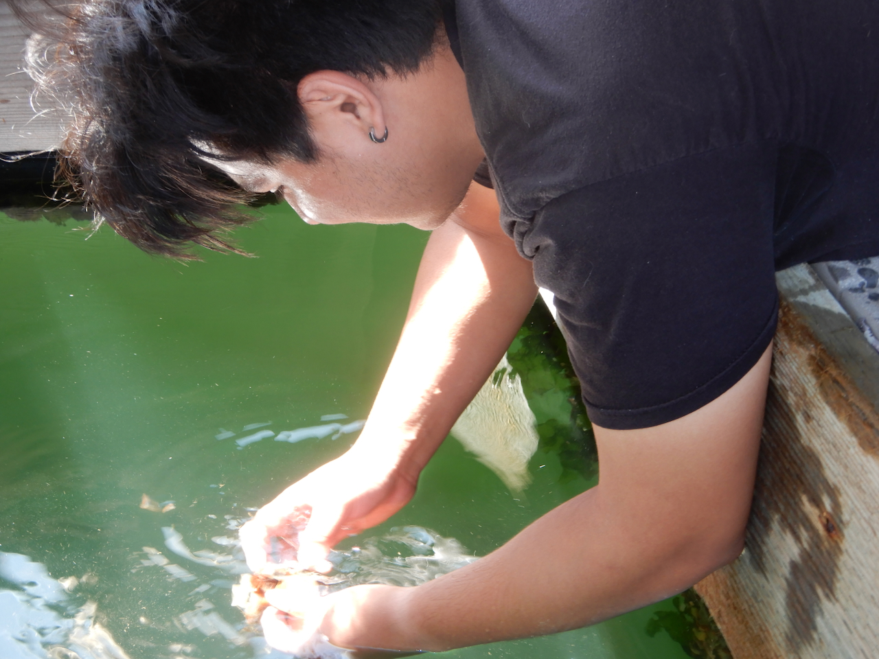 fieldtripImage