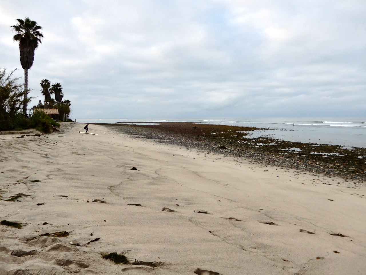 fieldtripImage