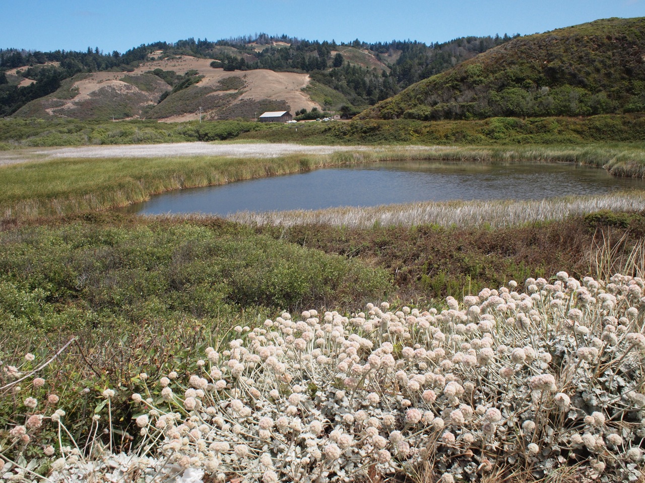 fieldtripImage
