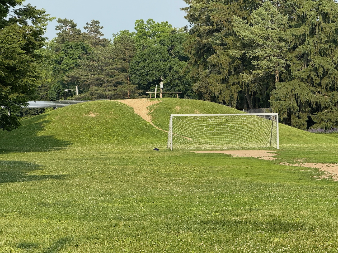 fieldtripImage