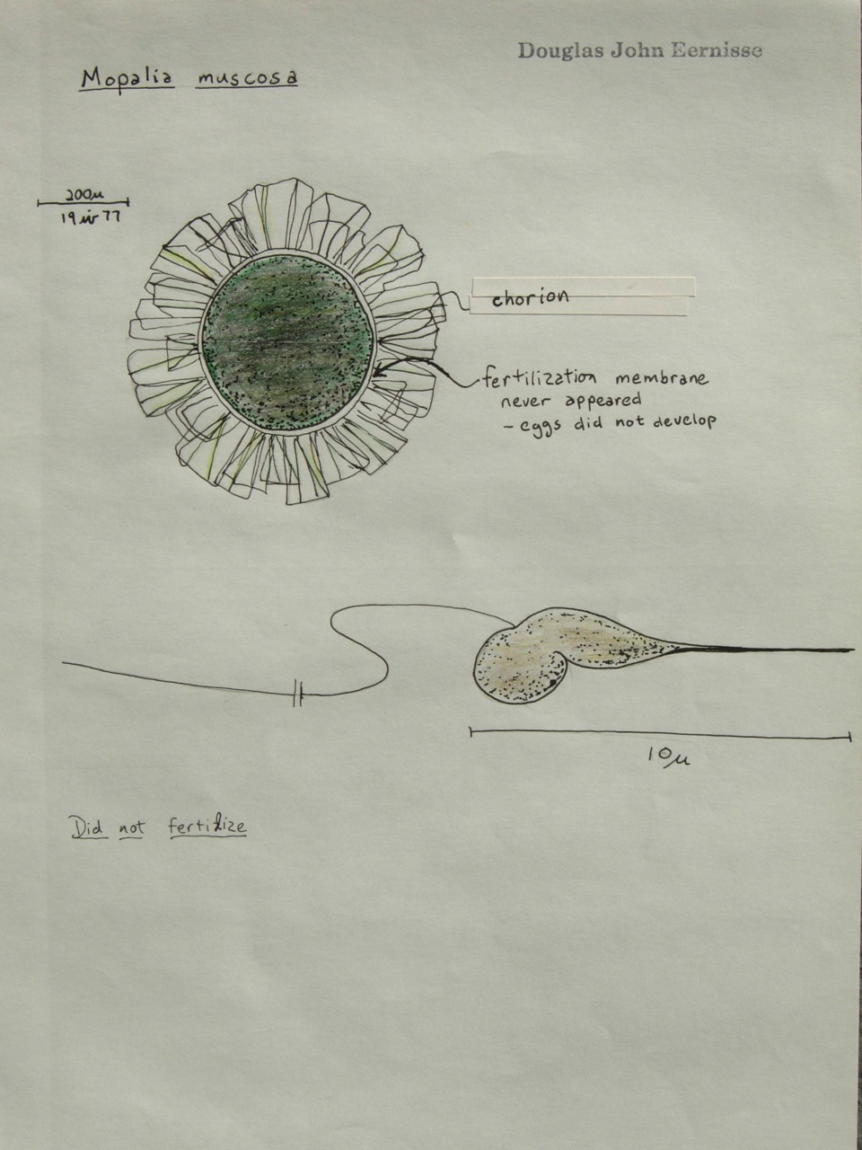 fieldtripImage