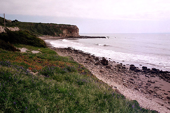 Abalone Cove Image