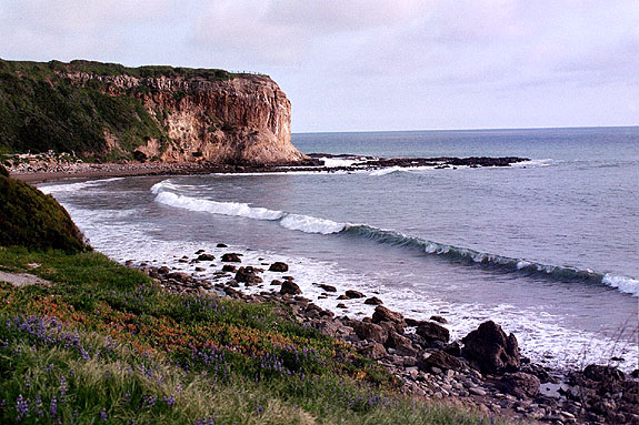 Abalone Cove Image