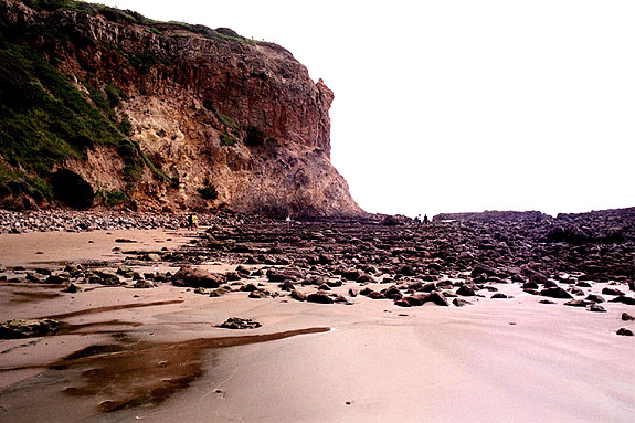 Abalone Cove Image