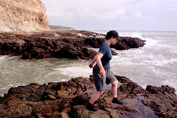 Abalone Cove Image