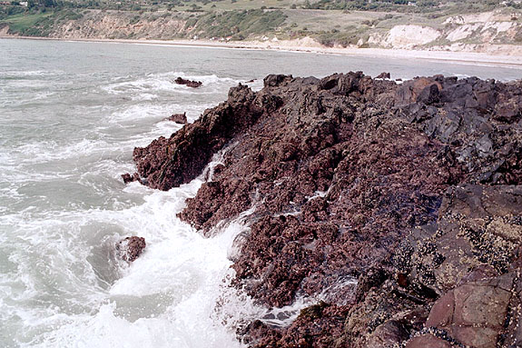 Abalone Cove Image