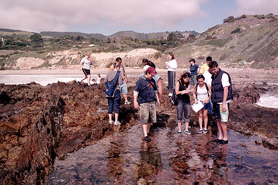 Abalone Cove Image