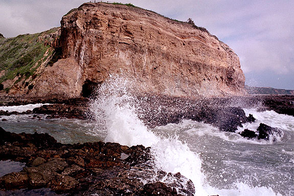 Abalone Cove Image