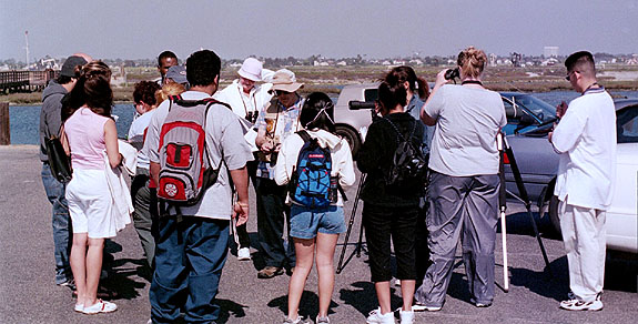 Bolsa Chica Image