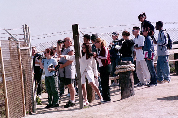 Bolsa Chica Image