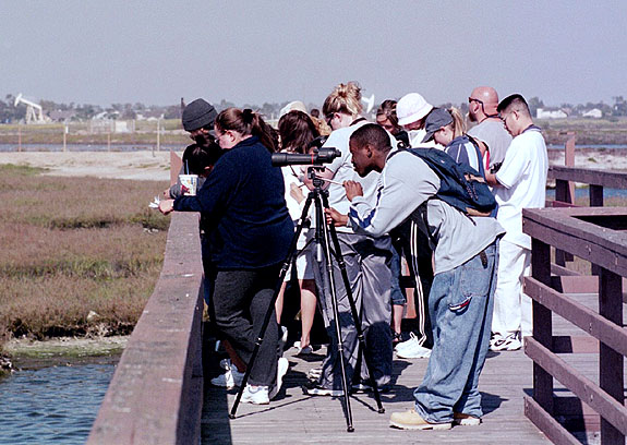 Bolsa Chica Image