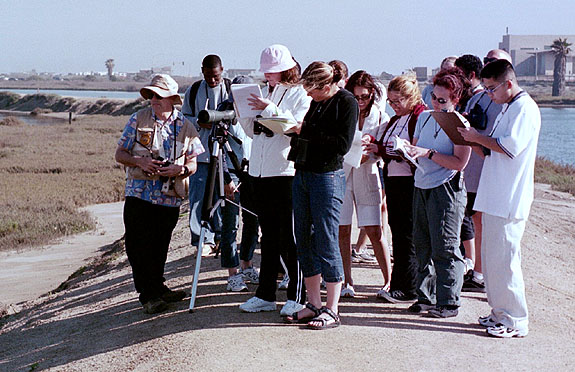 Bolsa Chica Image