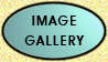 Button linking to picture gallery