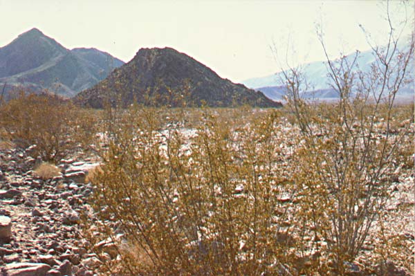 Cinder cone