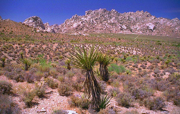 Granite Mountains