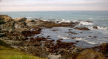 picture showing rocky intertidal