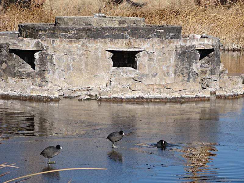 Frozen Lake Tunadae