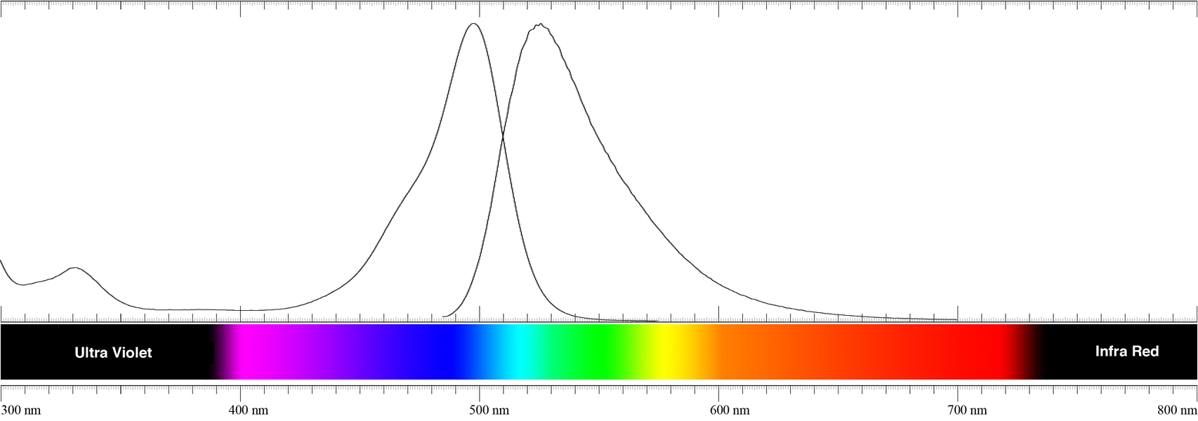 Csuf Molecular Probes Library