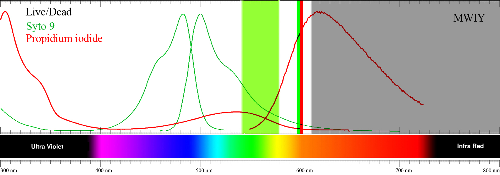 Csuf Molecular Probes Library