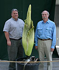 two men standing next to opening bud