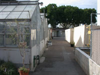 picture of greenhouse