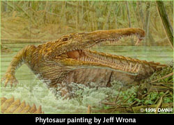 [Phytosaur]