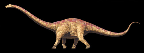 [Seismosaurus]