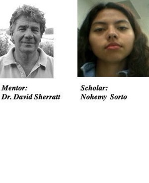 Photographs of mentor David Sherratt and scholar Nohemy Sorto