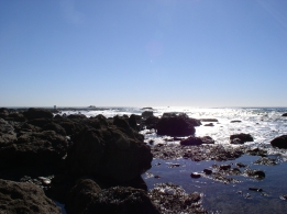 Photo of an Intertidal Area