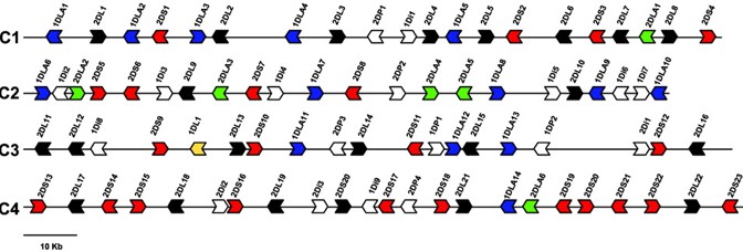 CHIR cluster