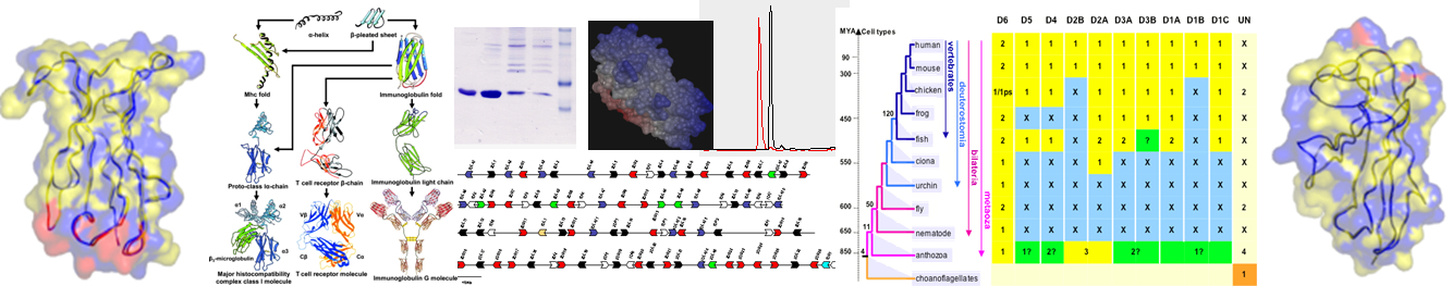 research_figure