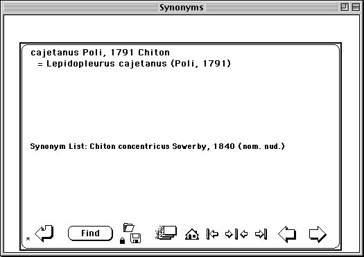 Synonyms_Image