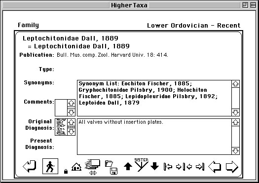 Higher_Taxa_Logo_Image