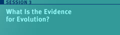 Link: Session 3 What is the evidence for Evolution?