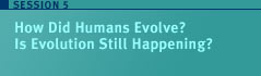 Link: Session 5 Is Evolution still happening?