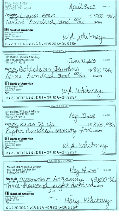 Image of 4 Checks as evidence