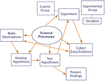 Image of a sample concept map.